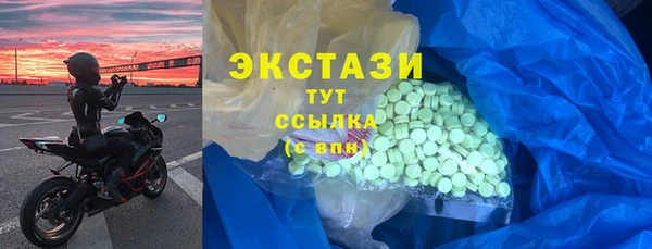 индика Мегион