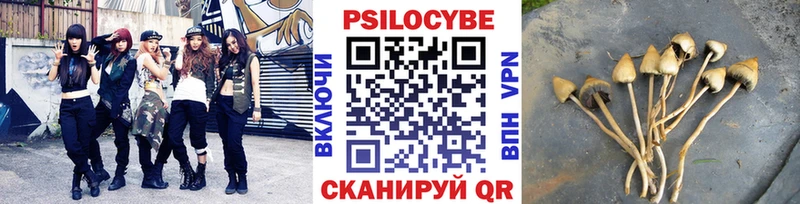 закладки  MEGA вход  Галлюциногенные грибы мицелий  Семикаракорск 